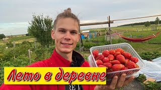 Отёл Коровы🐮! Пополнение за пополнением на ферме👩‍🌾 Цыплята, Индоутята, Гусята, Огород!В Деревне