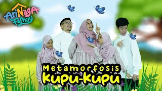 Metamorfosis Kupu- Kupu (  ) | Arinaga Family