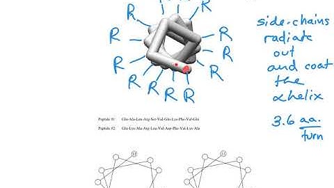 D Alpha helix main chain 200807