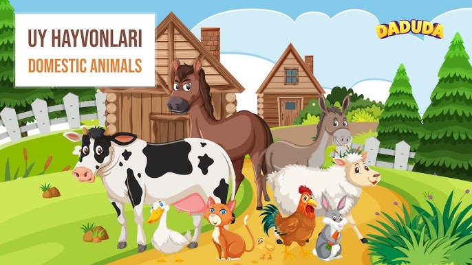 Xotin erini Internetda ovqatlantiradi