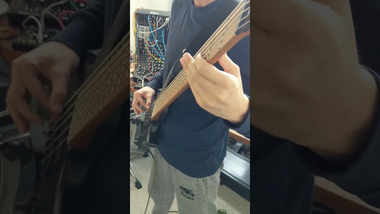 Dub Day.                                     #dub #reggae #ibanezbass #spectrasonics