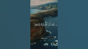 وَمَن يَتَّقِ اللَّهَ يَجْعَل لَّهُ مِنْ أَمْرِهِ يُسْرًا || سورة الطلاق || علي جابر