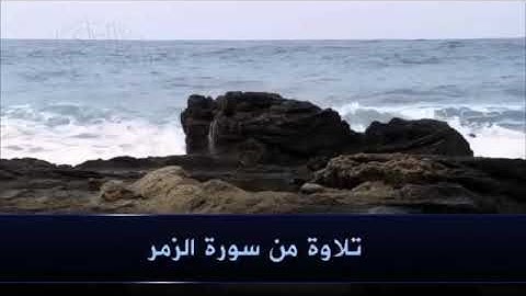 تلاوه قران بصوت جميل جدا💙 تلاوه من سوره الزمر  الشيخ صلاح الباجي