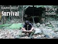Thử Thách Sinh Tồn Trong Rừng Mưa Một Mình -EP.44 |Survival Alone In The Rainforest