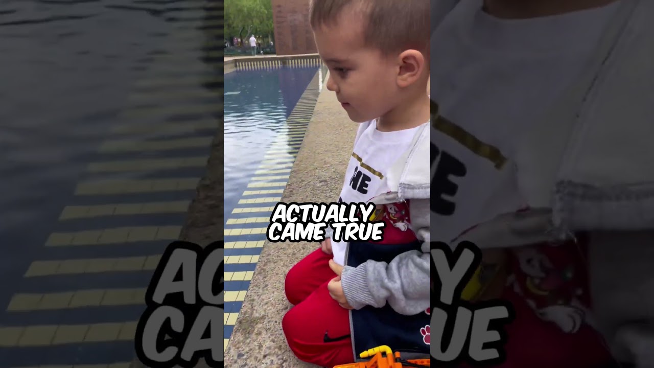 Little boy's wish came true