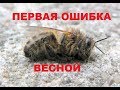 Пчёлы разлетелись весной. Первый плачевный облёт семьи. Недостаток корма.