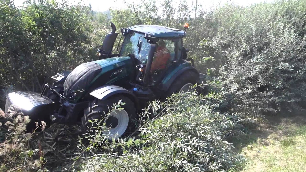 mulczer / kruszarka kamieni / rekultywator FAE SFM: usuwanie zieleni wzdłuż pasa drogowego