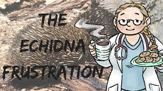 The Echidna Frustration | Veterinary Story Time