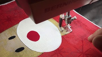 Bernina foot 23 satin stitch  appliqué
