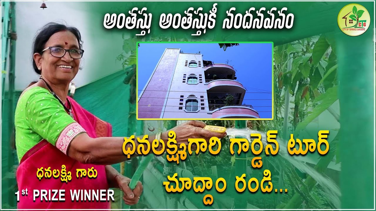 నాలుగు అంతస్తుల మేడలో  ధనలక్ష్మి గారి నందనవనం || Terrace Garden Tour || City Of Terrace Gardens