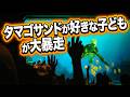 子どものアシストで会場大爆笑【タートルトーク】東京ディズニーシー