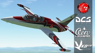 DCS World VAT Skyline L-39 №2 - Заход по системам посадки в зашторенной кабине