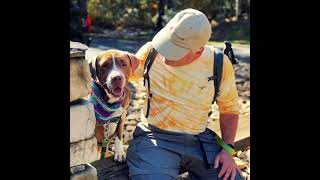 Meet Juno - 25 Adoption Fee A Terrier Pit Bull Currently Available For Adoption 11212021 3072