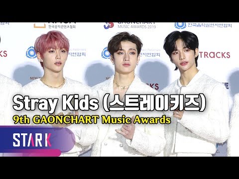 Stray Kids, 9th GAONCHART Music Awards (스트레이키즈, 레드카펫에 나타난 백색의 왕자님들)