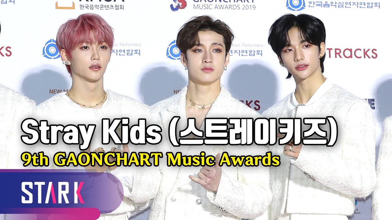 Stray Kids, 9th GAONCHART Music Awards (스트레이키즈, 레드카펫에 나타난 백색의 왕자님들)