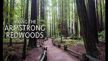 Is Armstrong Woods reopened?