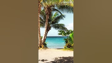 قال انما اشكو بثي وحزني إلى الله||من سورة يوسف||للشيخ خالد الجليل