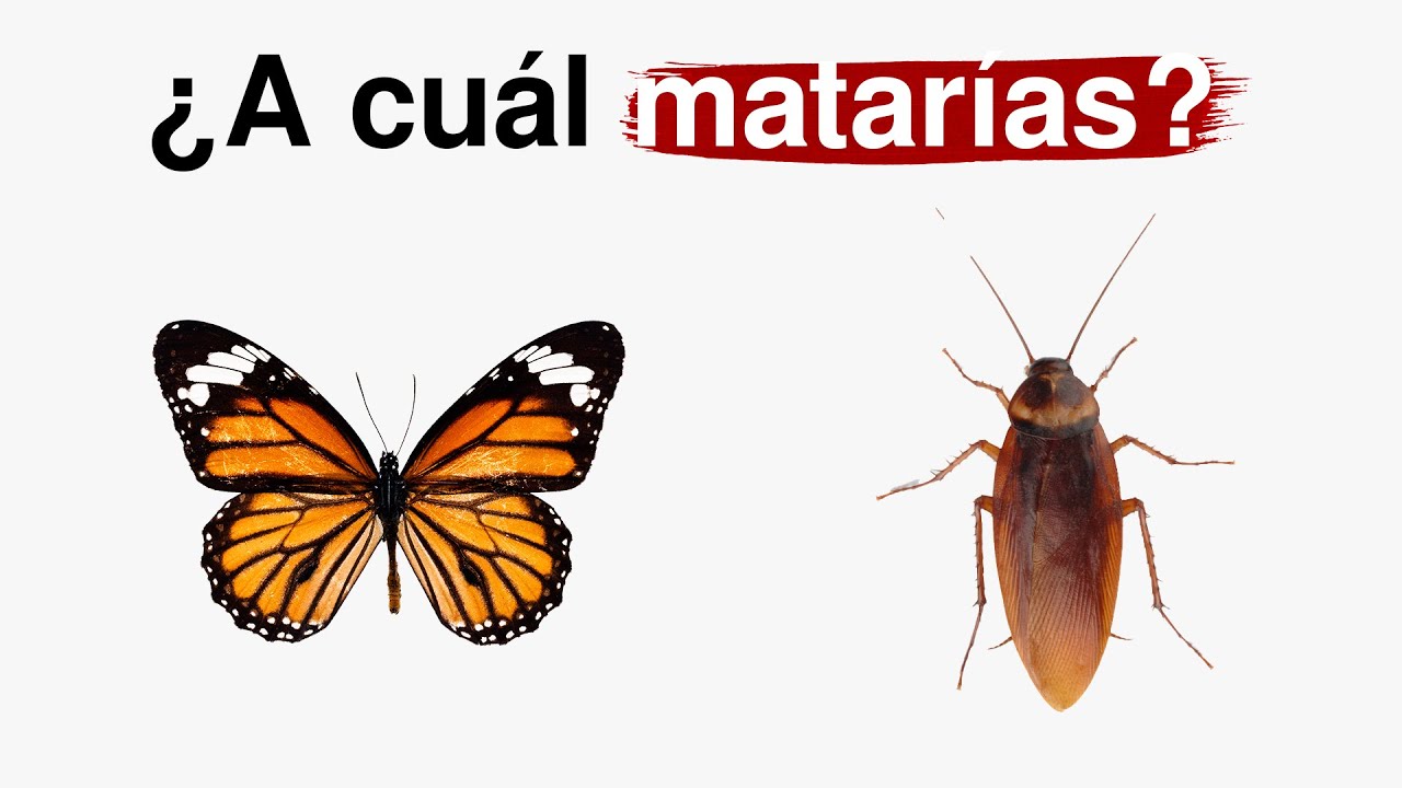 El crimen de ser feo