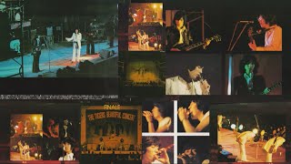 ザ・タイガース THE TIGERS FINALE＋未収録10曲 - YouTube