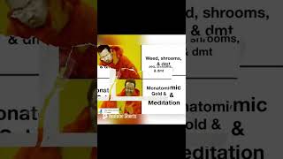 DMT Shrooms Weed OR Monatomic Gold and Meditation?  The Choice is YOURS! - Dr Delbert Blair