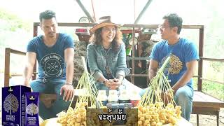 EP#13. 4Tree เพิ่มผลผลิต 50% อินทผาลัม จ.นครปฐม & จ.เพชรบูรณ์ พี่คณิต/พี่จันทร์เพ็ญ โทร.063-229-8351