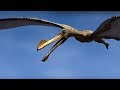 King of the skies  walking with dinosaurs in hq  bbc earth