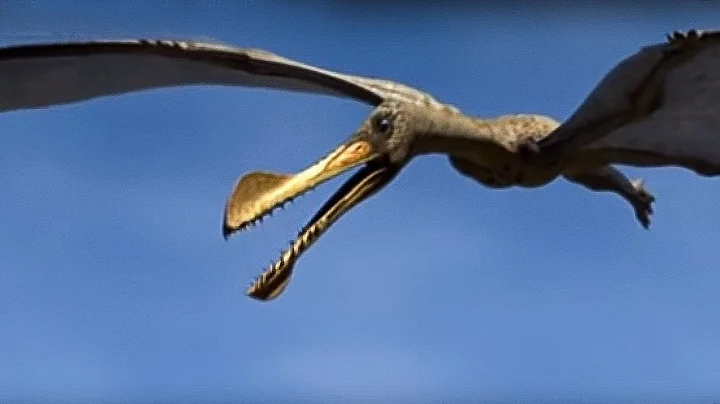 King of the Skies | Walking with Dinosaurs in HQ | BBC Earth - DayDayNews