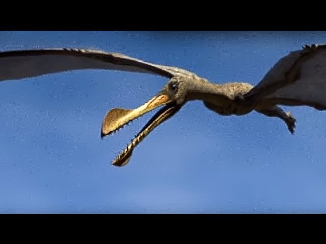 Flying Dinosaurs': The Prehistoric Rulers of the Sky