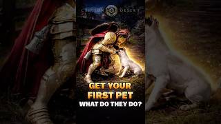 Питомцы из Crimson Desert: объяснение за 30 секунд #gaming #crimson #crimsondesert #bdo #blackdesert