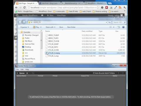 Part 21: Adding HTML5 video and Flash fallback video to WordPress