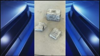 Wilbraham Police seize 9.6 pounds of cocaine, $63K