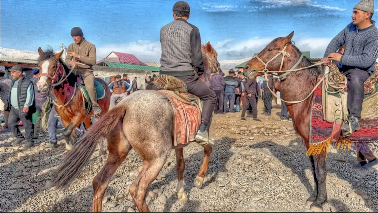 Сурхондарё Сариосиё Пайшанба От Бозори 19.02.2026.
