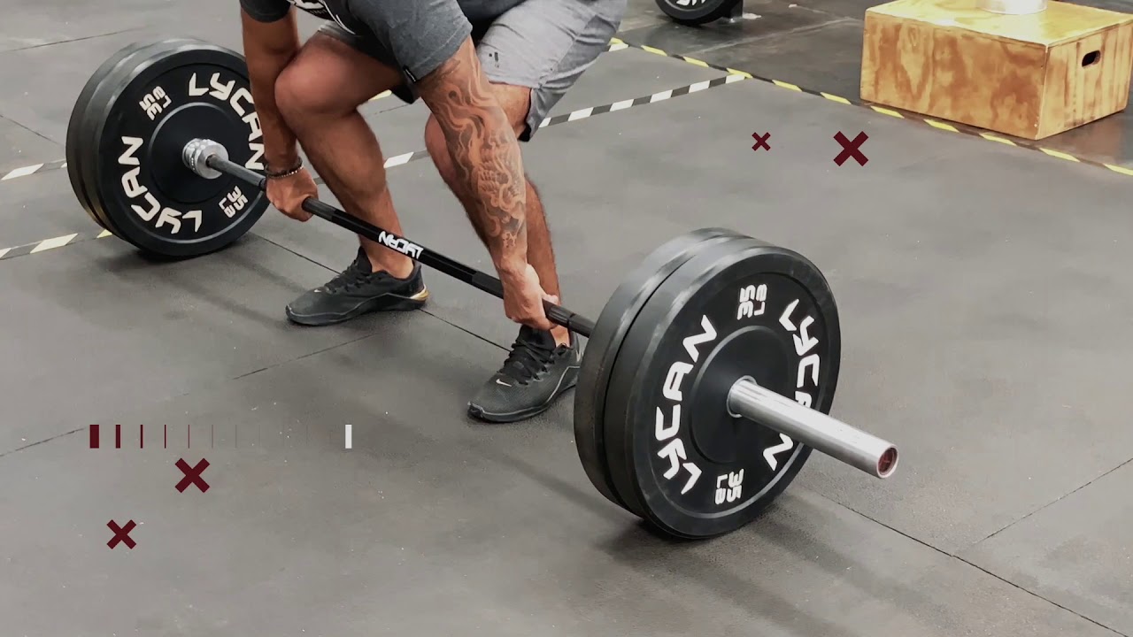 LYCAN YOUCAN WECAN 5