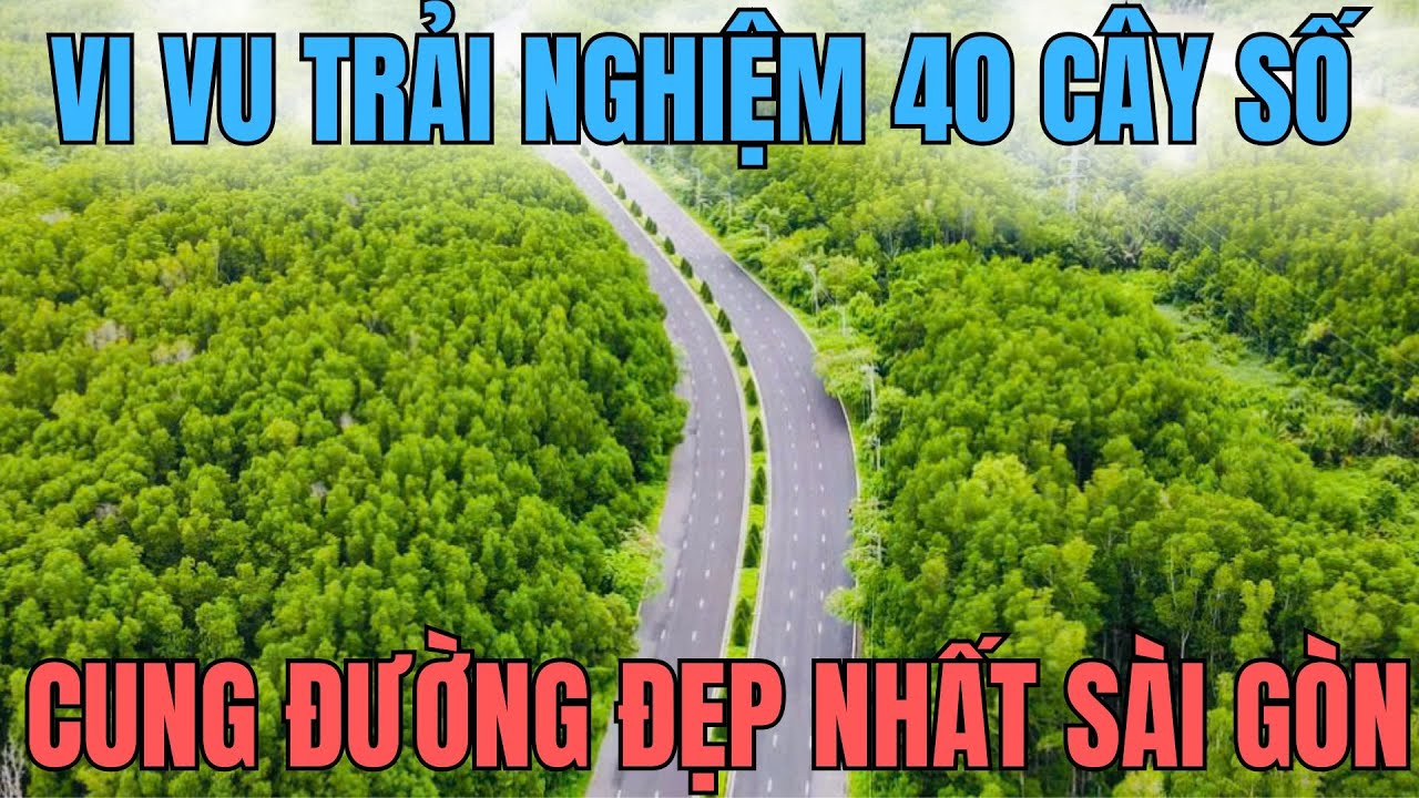 Rừng Sác - Cung đường xả stress an yên nhất Sài Gòn||Lái xe ngắm rừng ngập mặn Cần Giờ tháng 8/2025