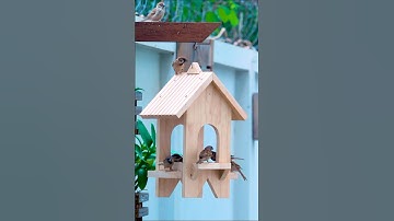 Woodworking EXPERT Shares Secret to Building Bird Feeders in MINUTES!