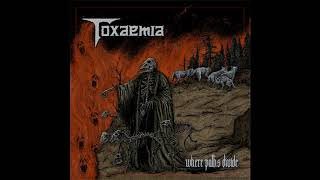 Toxaemia (Sweden) - Where Paths Divide (Full Album)