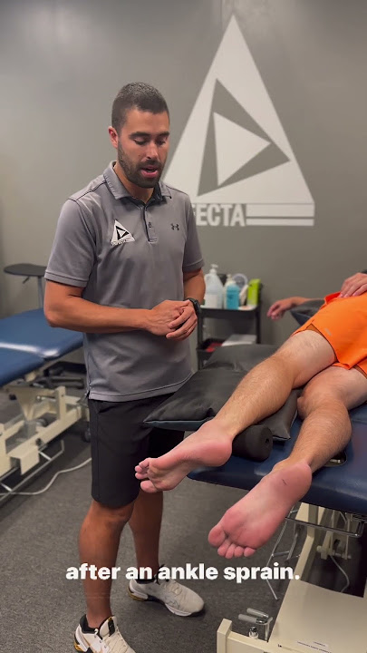 Dry Needling / Intramuscular Stimulation (IMS)​ - Trifecta Rehab