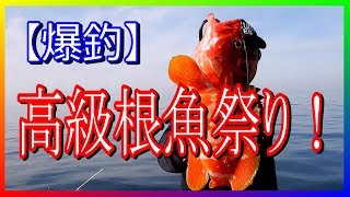 スーパーライトジギング 2019（ 志摩沖）【高級根魚祭り】【4Ｋ】（刺身、中華蒸し）