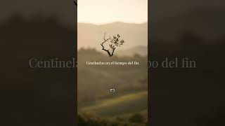 Centinelas en el tiempo del fin