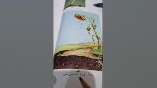 علوم الصف الاول(النمو والتكاثر في النباتات) صفحة ٤٨-٤٩-٥٠