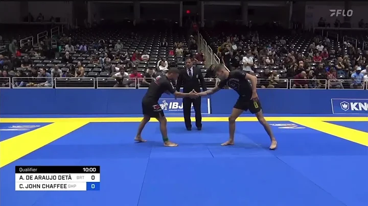 ARTHUR DE ARAUJO DETNICO vs CAMERON JOHN CHAFFEE 2...