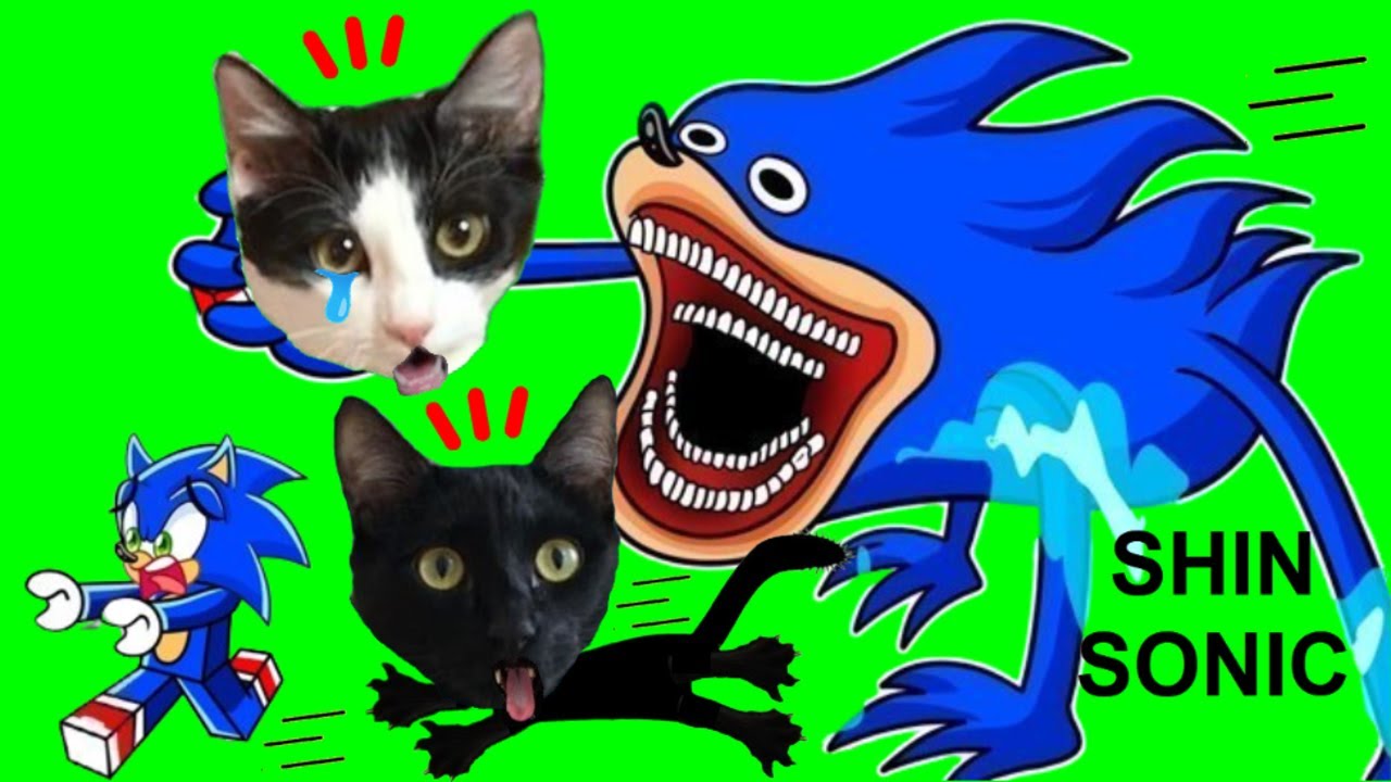 ESCAPE DE LA PRISION DE SHIN SONIC ROBLOX pero jugando con gatitos Luna y Estrella / Sonic Tapes