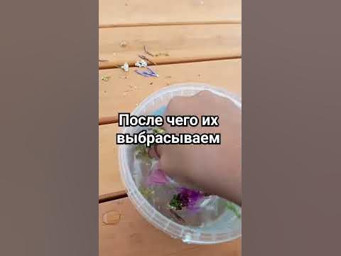Мефистополь Против Стража Подпишись;) - YouTube