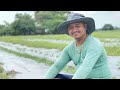 AMAZING! HOW an OFW FIRST TIME FARMER DEVELOPED 20 HECTARES FARM in 30 DAYS?