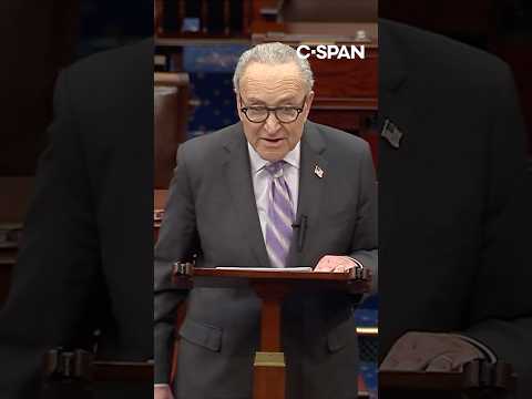 Video Schumer slams Trump for voting by mail