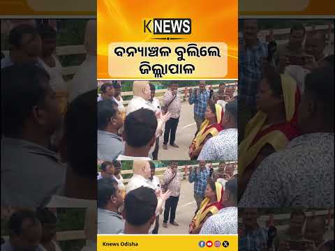 ବନ୍ୟାଞ୍ଚଳ ବୁଲି ଦେଖିଲେ ଜଗତସିଂହପୁର ଜିଲ୍ଲାପାଳ।Jagatsinghpur। Flood। District Collector | Knews Odisha