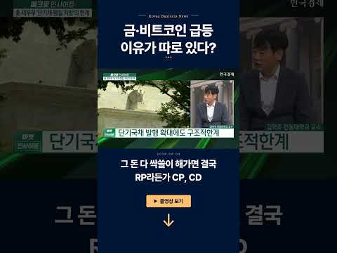 금·비트코인 급등...이유가 따로 있다?ㅣ김학주 한동대학교 교수