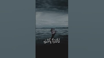 تلاوة محبرة للشيخ محمد صديق المنشاوي #quran