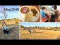 Vlog 2018- BUSY DAY - KIDS, STUDIES, SKIN CARE l Reallife Realhome