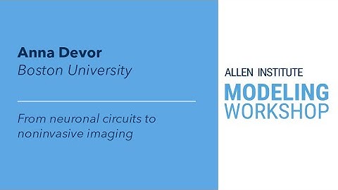 Allen Institute Modeling Workshop | Anna Devor